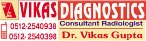 logo wplogo